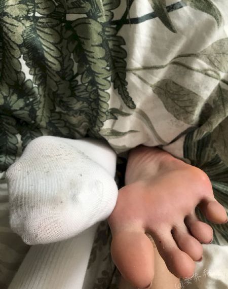 红楼春梦在线观看